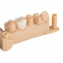 Magma Dental Model Resin
